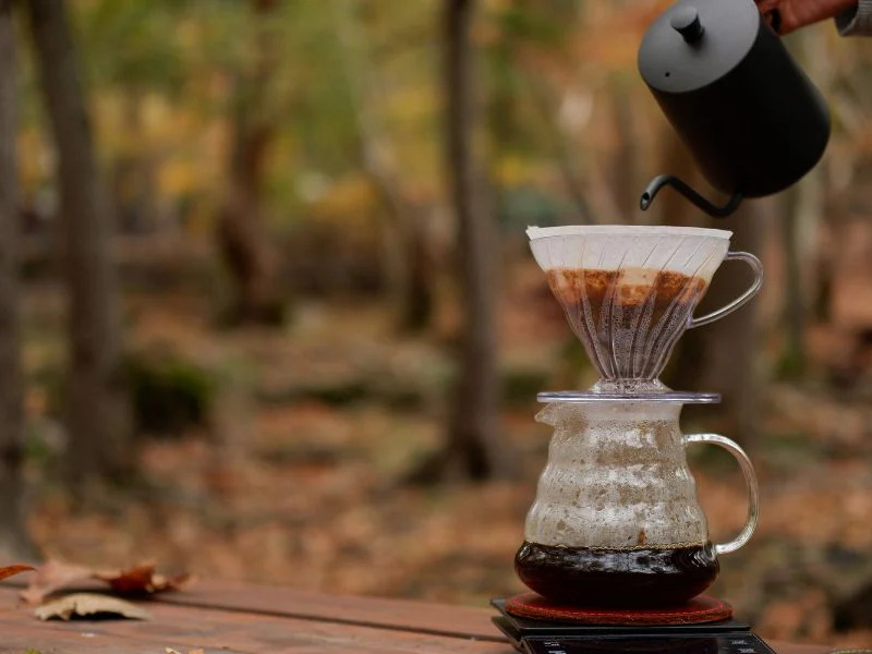 Café Robusta Selecto